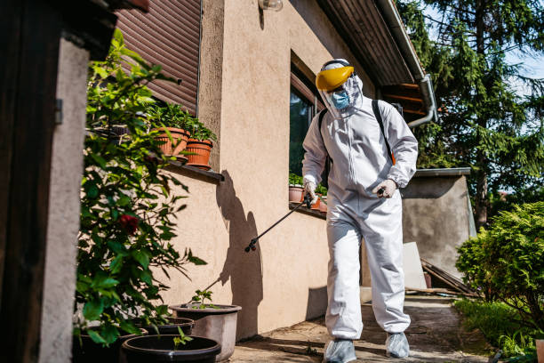 Best Local Pest Control Services  in Cimarron Hills, CO